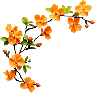 Decorative flowers